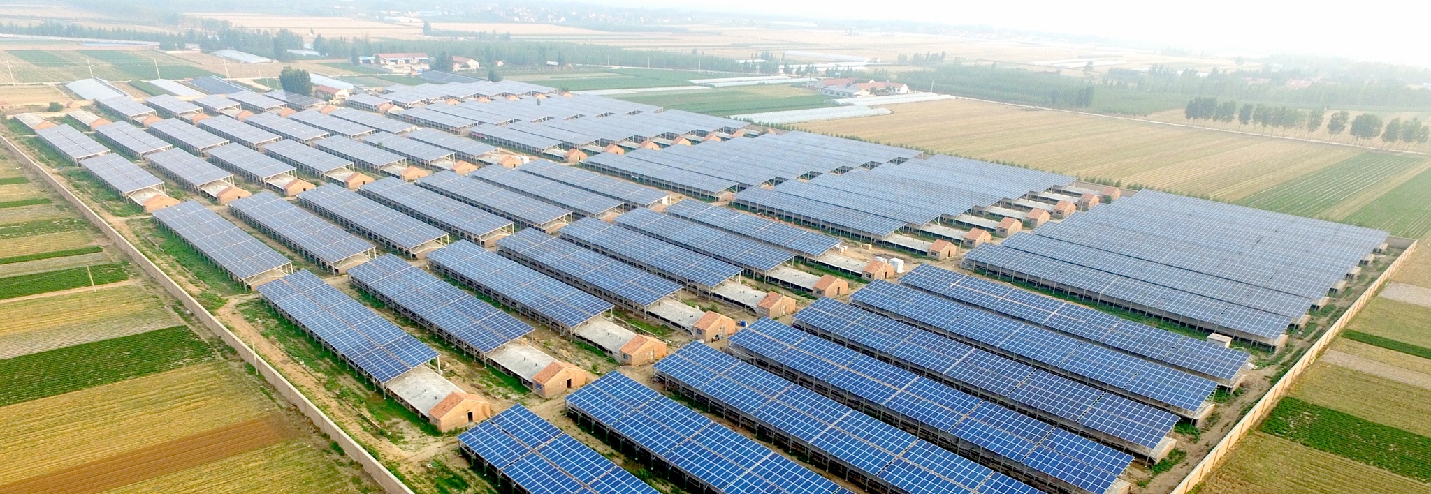 Clenergy Ground-mount 40MW Agrivoltaic Project in China